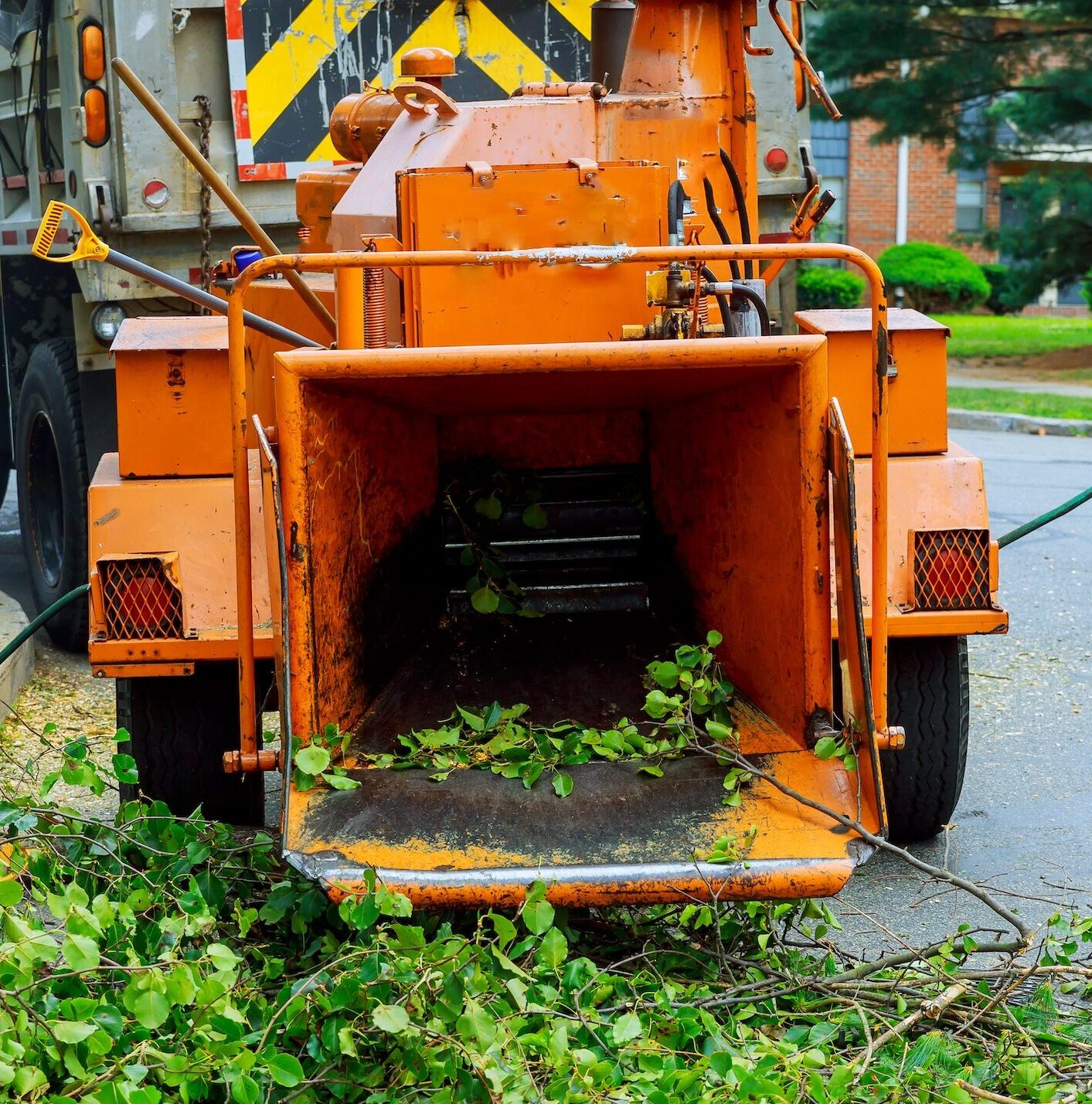 Wood chipper processing branches